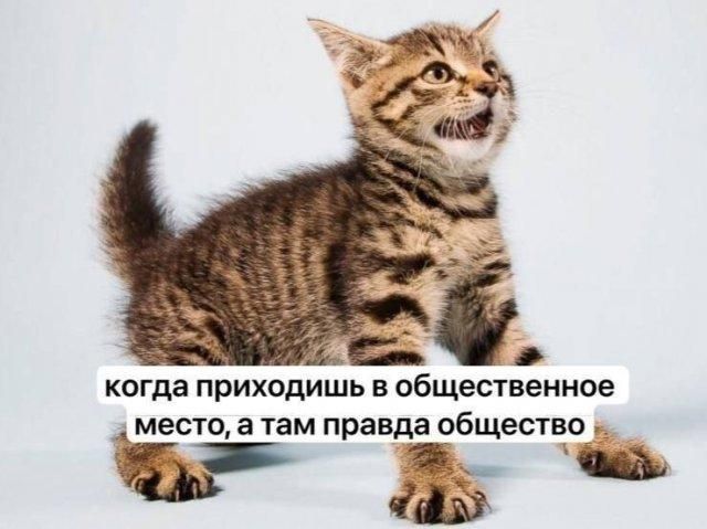 когда приходишь в общественное место, а там правда общество