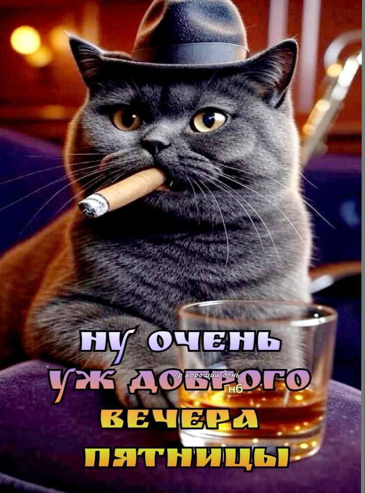 НУ ОЧЕНЬ УЖ ДОБРОГО ВЕЧЕРА ПЯТНИЦЫ