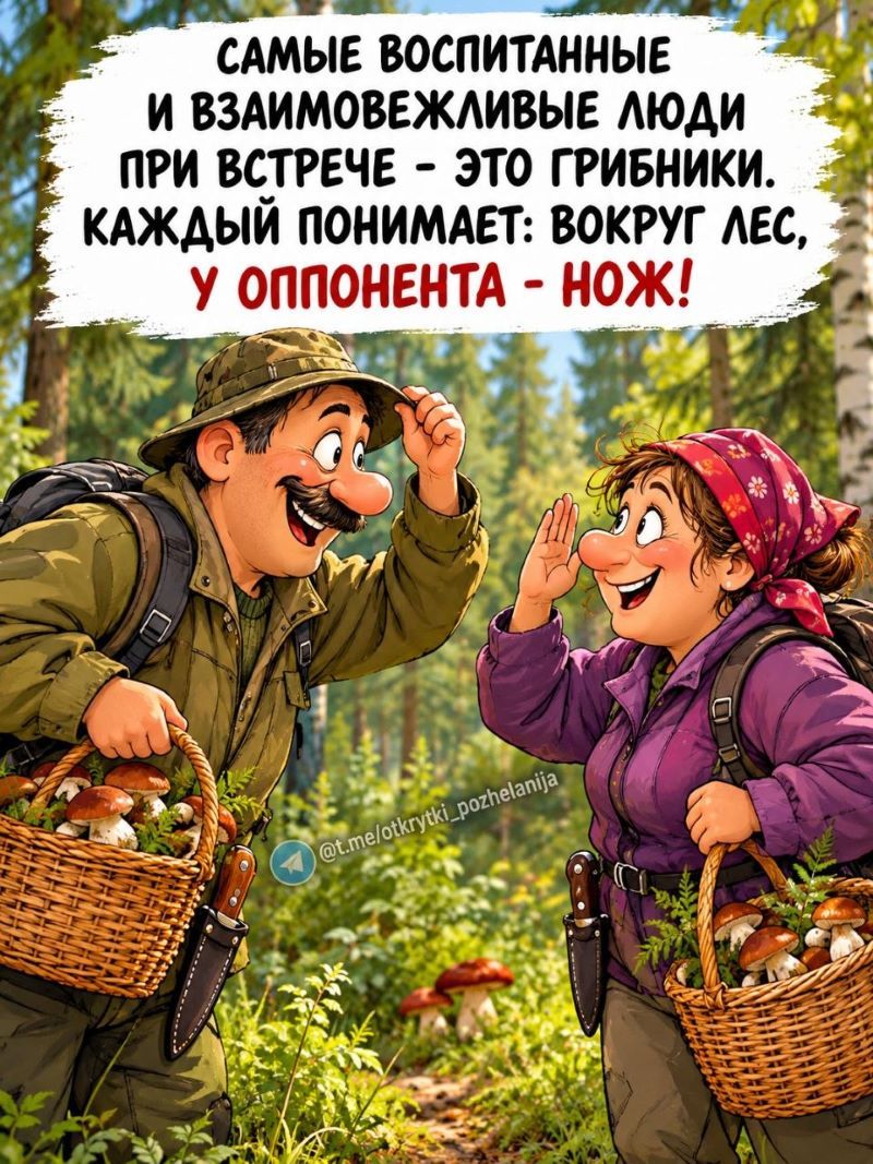 САМЫЕ ВОСПИТАННЫЕ И ВЗАИМОВЕЖЛИВЫЕ ЛЮДИ ПРИ ВСТРЕЧЕ - ЭТО ГРИБНИКИ. КАЖДЫЙ ПОНИМАЕТ: ВОКРУГ ЛЕС, У ОППОНЕНТА - НОЖ! @t.me/otkrytki_pozhelaniya