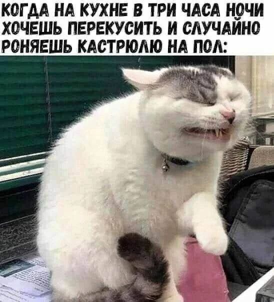 КОГДА НА КУХНЕ В ТРИ ЧАСА НОЧИ ХОЧЕШЬ ПЕРЕКУСИТЬ И СЛУЧАЙНО РОНЯЕШЬ КАСТРЮЛЮ НА ПОЛ: