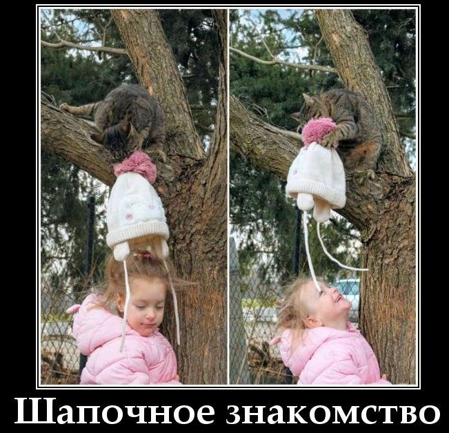 Шапочное знакомство