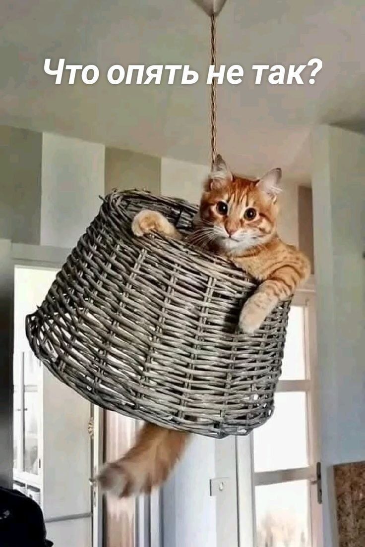 Что опять не так?