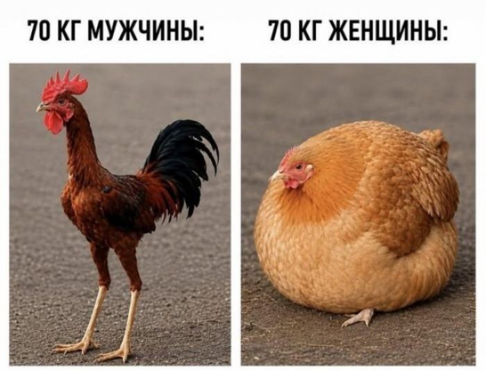 70 КГ МУЖЧИНЫ: 70 КГ ЖЕНЩИНЫ: