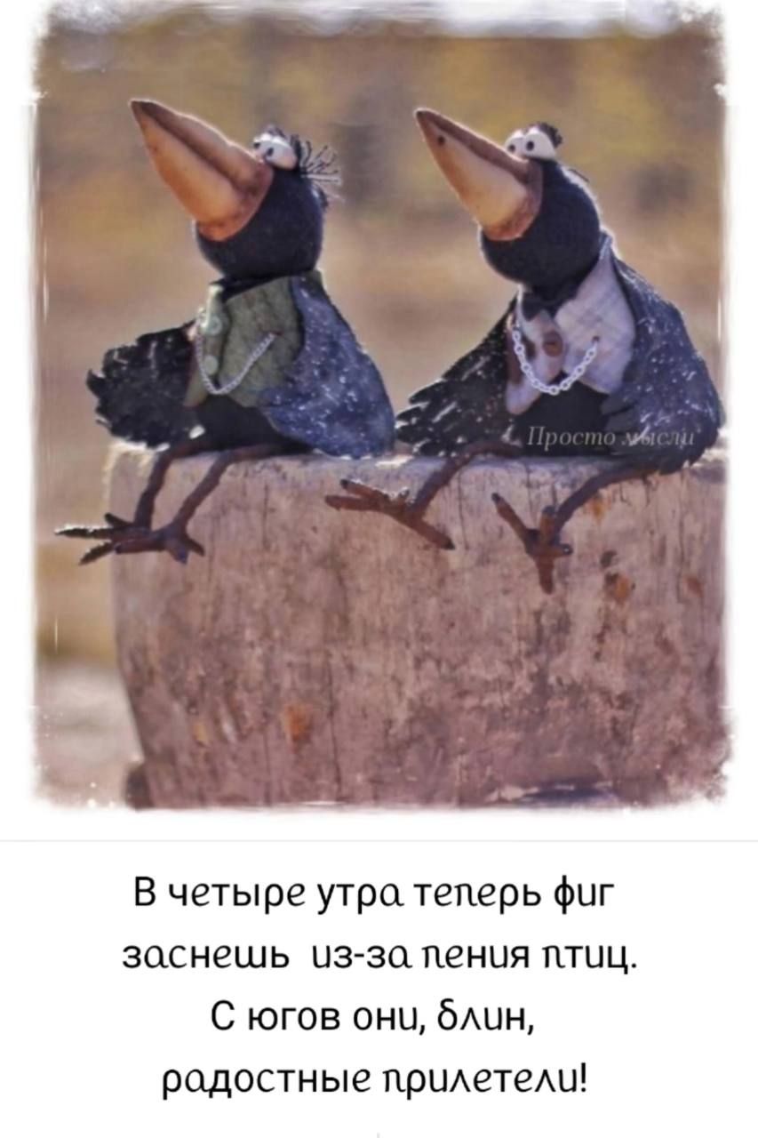 В четыре утра теперь фиг заснешь из-за пения птиц. С югов они, блин, радостные прилетели! Просто мысли