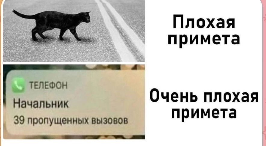 Плохая примета. Очень плохая примета. ТЕЛЕФОН. Начальник. 39 пропущенных вызовов.