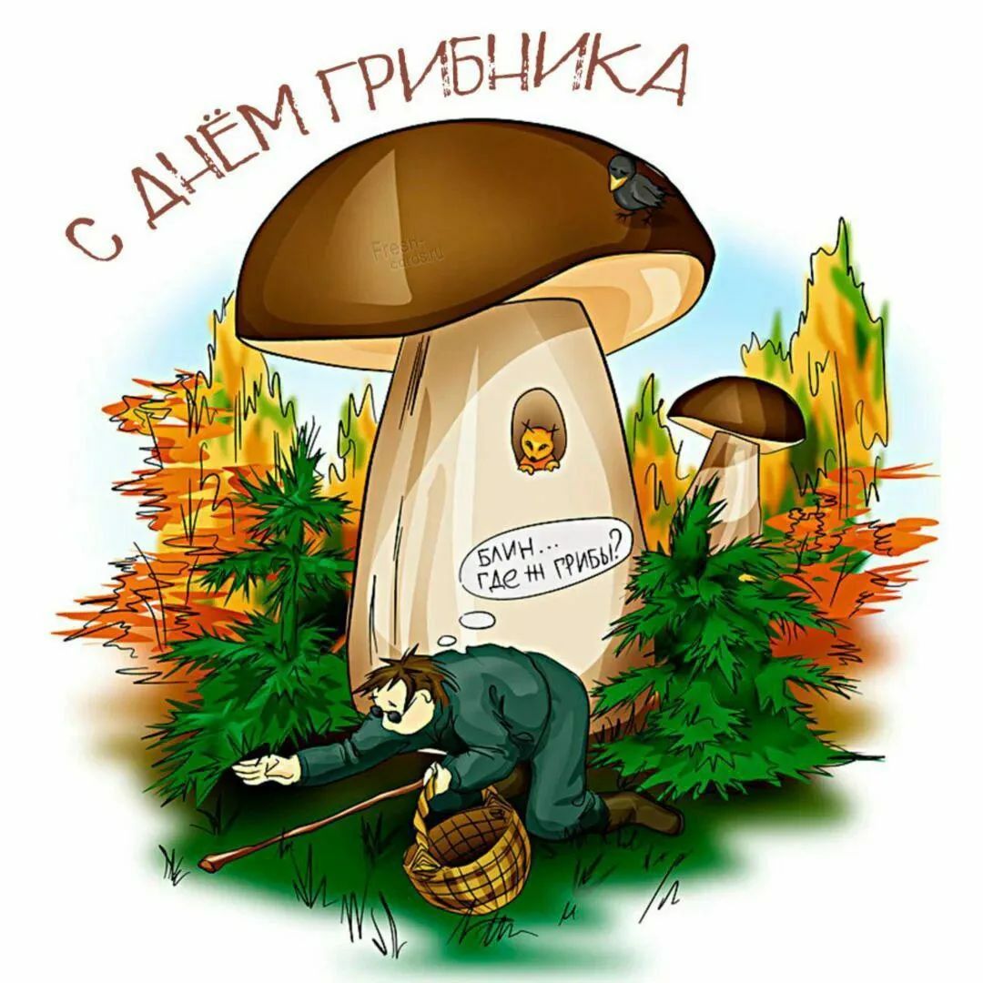 С ДНЁМ ГРИБНИКА Блин... где же грибы?