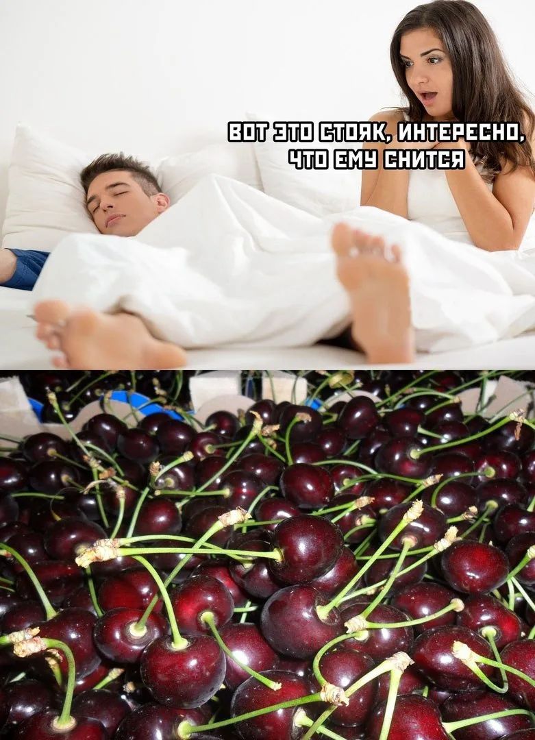 ВОТ ЭТО СТОЯК, ИНТЕРЕСНО, ЧТО ЕМУ СНИТСЯ