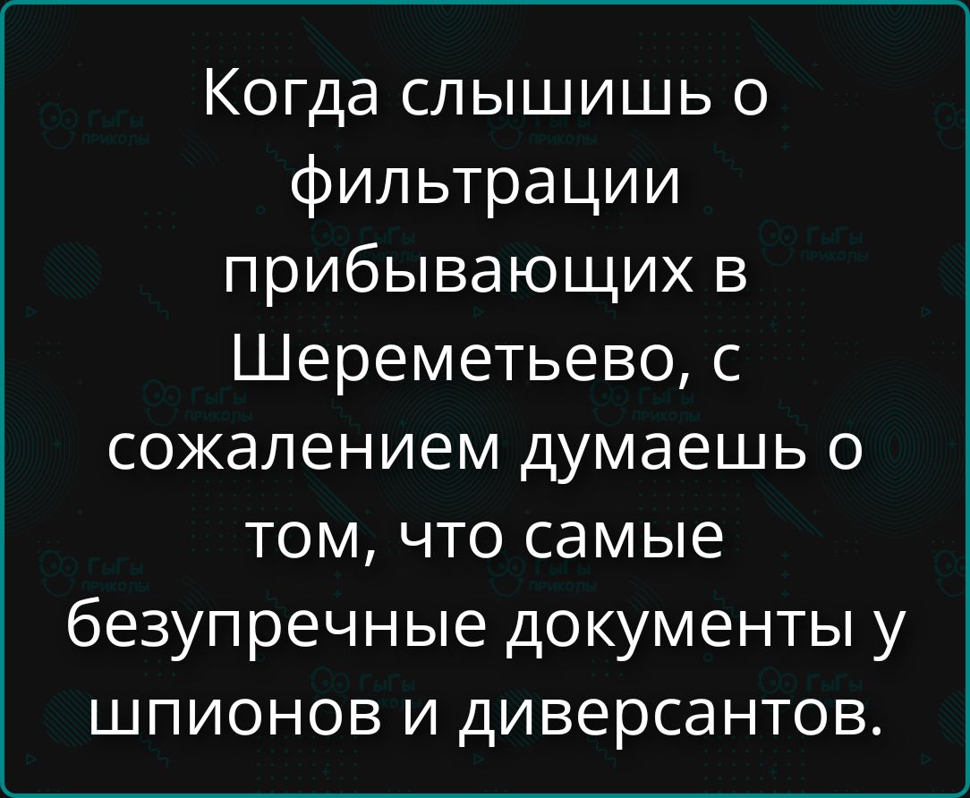 Когда слышишь о фильтрации прибывающих в Шереметьево, с сожалением думаешь о том, что самые безупречные документы у шпионов и диверсантов.