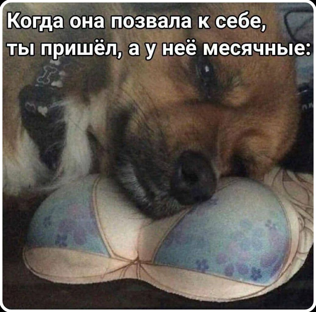 Когда она позвала к себе, ты пришёл, а у неё месячные: