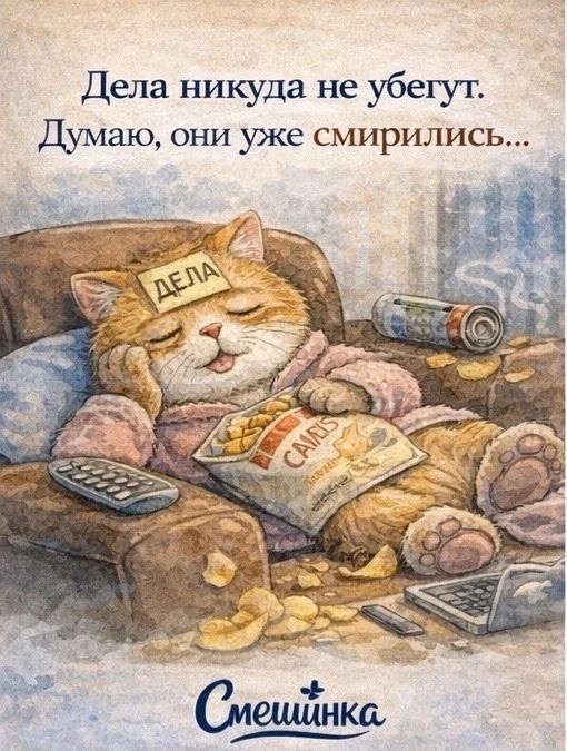 Дела никуда не убегут. Думаю, они уже смирились... ДЕЛА Смешинка