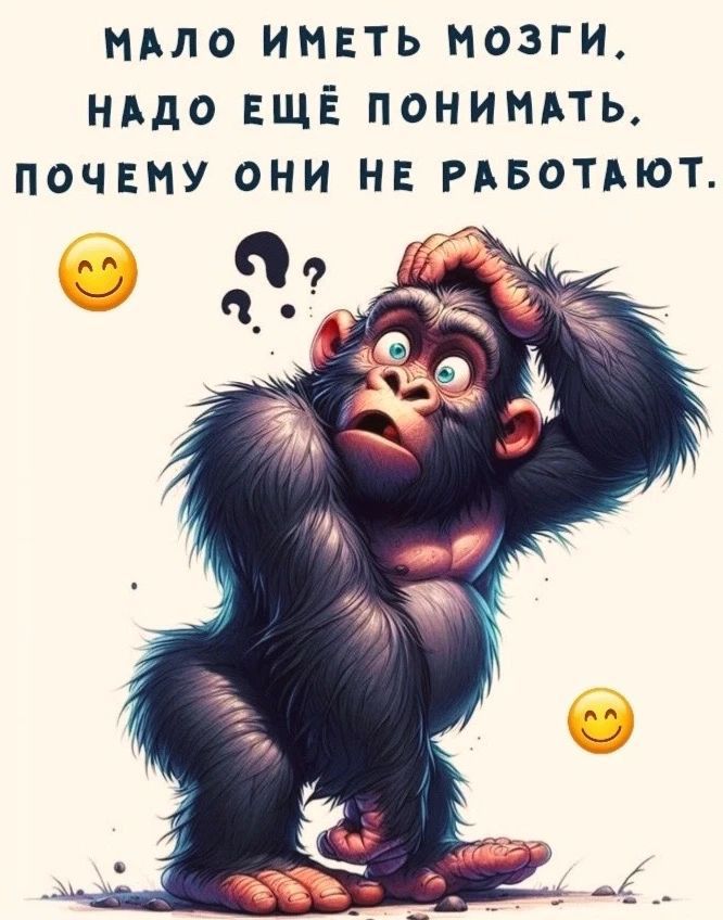 МАЛО ИМЕТЬ МОЗГИ, НАДО ЕЩЁ ПОНИМАТЬ, ПОЧЕМУ ОНИ НЕ РАБОТАЮТ.