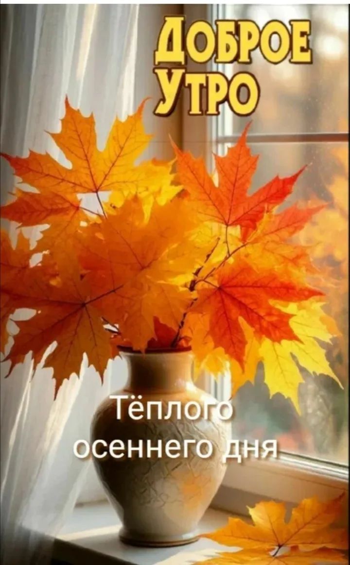 ДОБРОЕ УТРО Тёплого осеннего дня