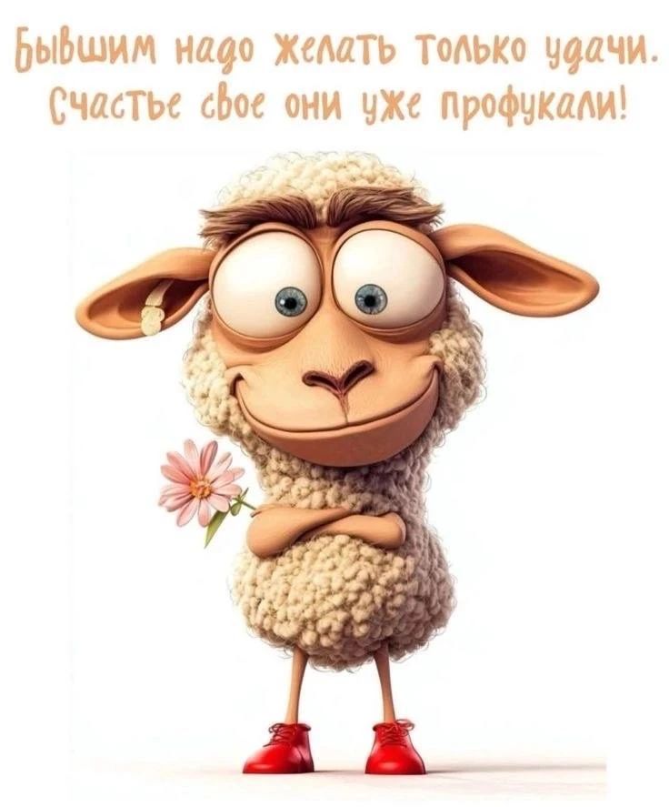 Бывшим надо желать только удачи. Счастье свое они уже профукали!