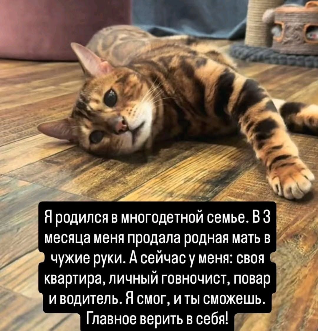 Я родился в многодетной семье. В 3 месяца меня продала родная мать в чужие руки. А сейчас у меня: своя квартира, личный говночист, повар и водитель. Я смог, и ты сможешь. Главное верить в себя!