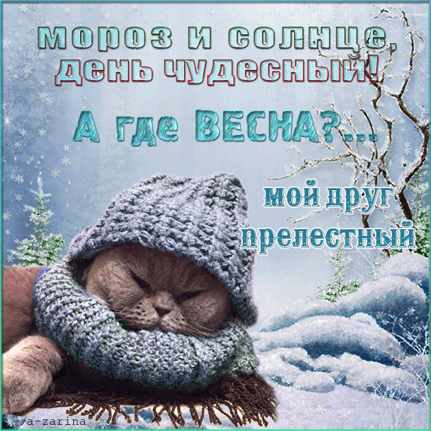МОРОЗ И СОЛНЦЕ, ДЕНЬ ЧУДЕСНЫЙ! А где ВЕСНА? ... мой друг прелестный