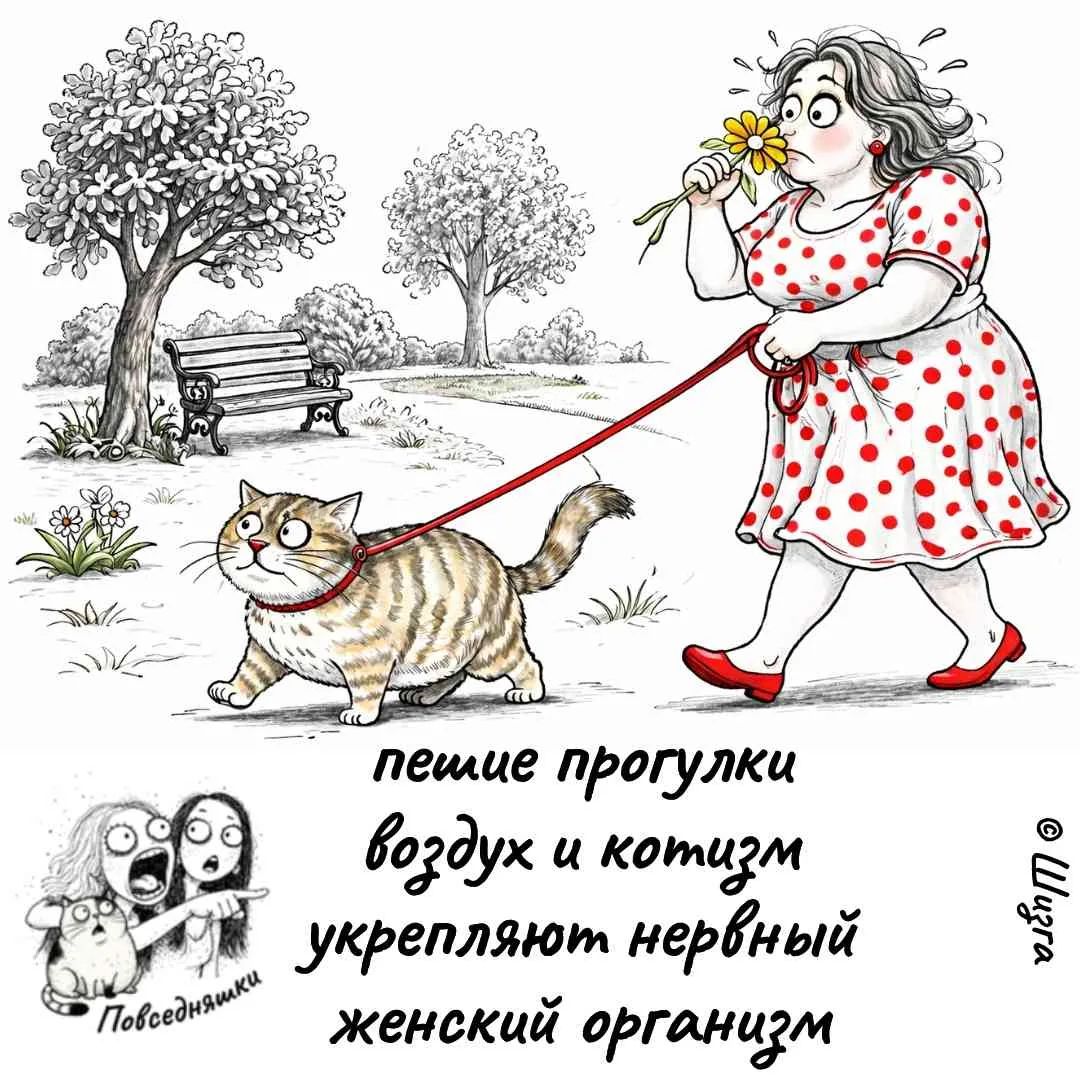 пешие прогулки воздух и котизм укрепляют нервный женский организм