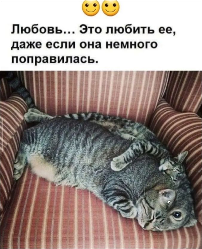 Любовь... Это любить ее, даже если она немного поправилась.