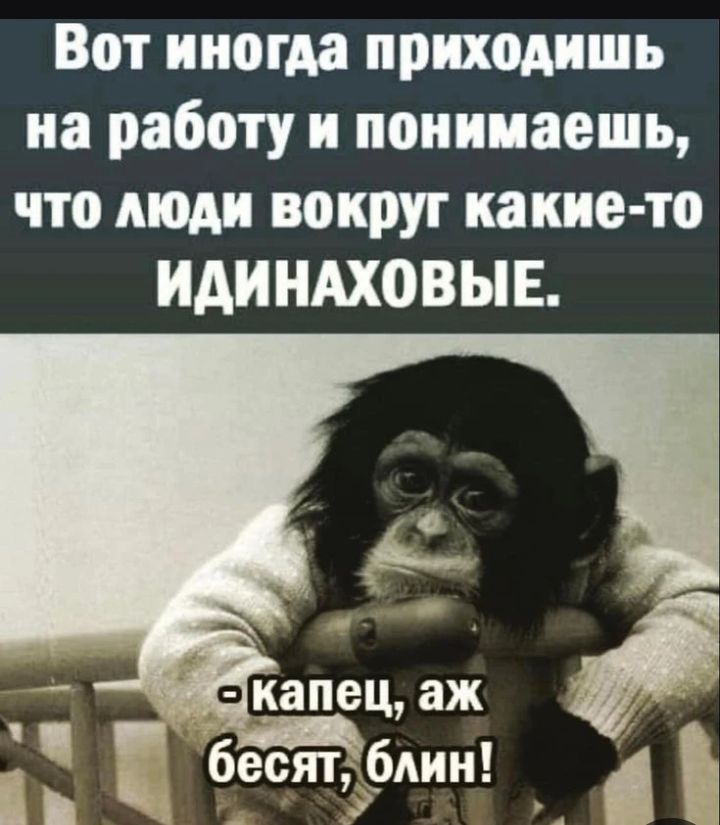 Вот иногда приходишь на работу и понимаешь, что люди вокруг какие-то ИДИНАХОВЫЕ. -Капец, аж бесят, блин!