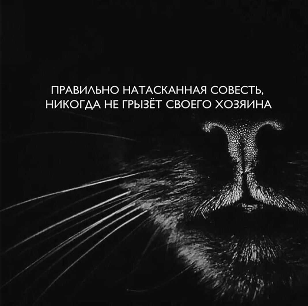 ПРАВИЛЬНО НАТАСКАННАЯ СОВЕСТЬ, НИКОГДА НЕ ГРЫЗЁТ СВОЕГО ХОЗЯИНА