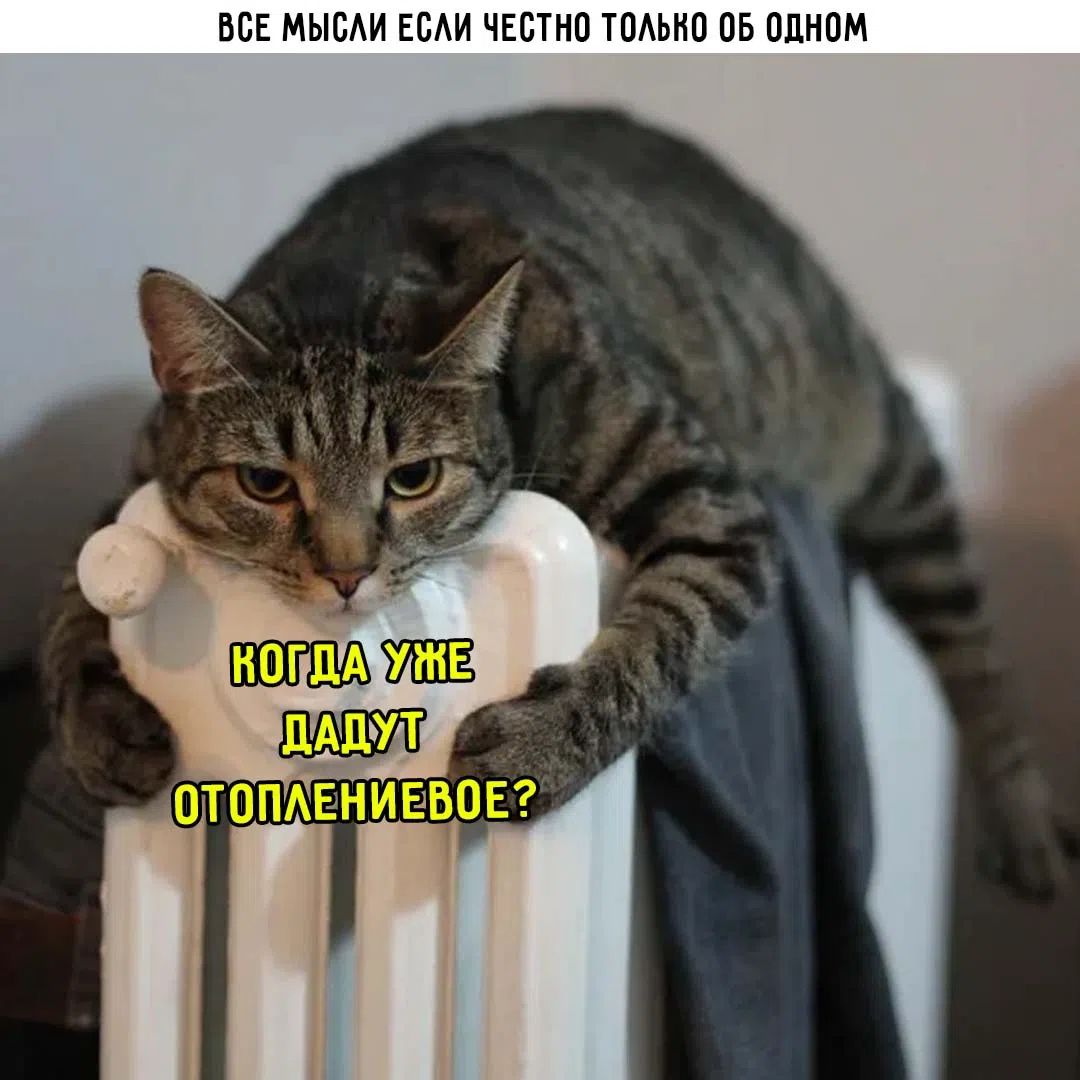 ВСЕ МЫСЛИ ЕСЛИ ЧЕСТНО ТОЛЬКО ОБ ОДНОМ. КОГДА УЖЕ ДАДУТ ОТОПЛЕНИЕВОЕ?