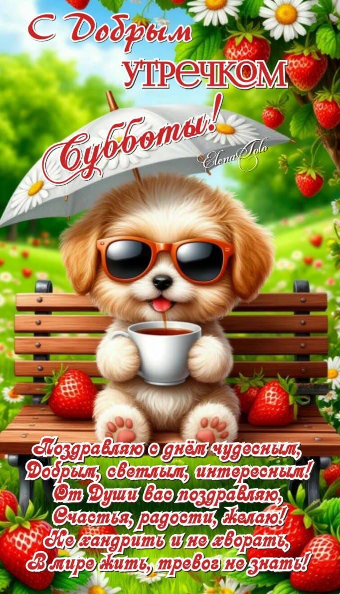 С Добрым утречком Субботы! Elena Tolo Поздравляю с днём чудесным, Добрым, светлым, интересным! От Души вас поздравляю, Счастья, радости, желаю! Не хандрить и не хворать, В мире жить, тревог не знать!