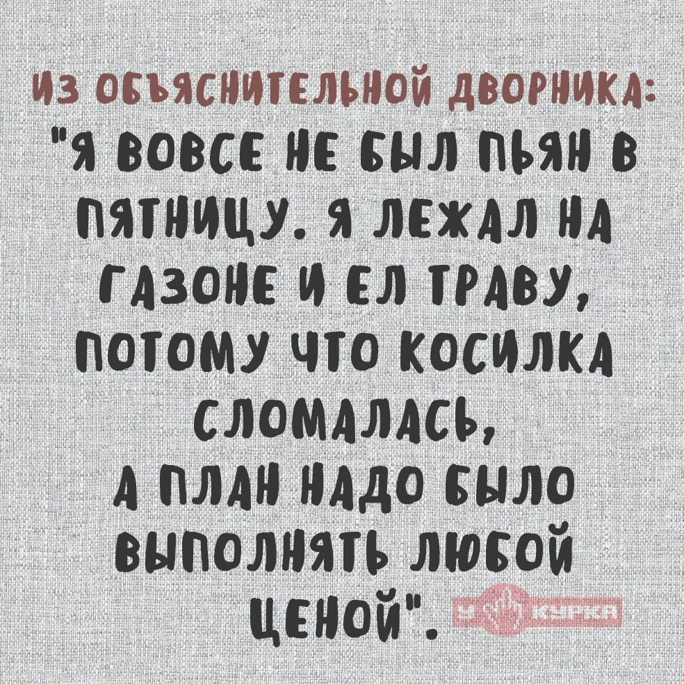 ИЗ ОБЪЯСНИТЕЛЬНОЙ ДВОРНИКА:
