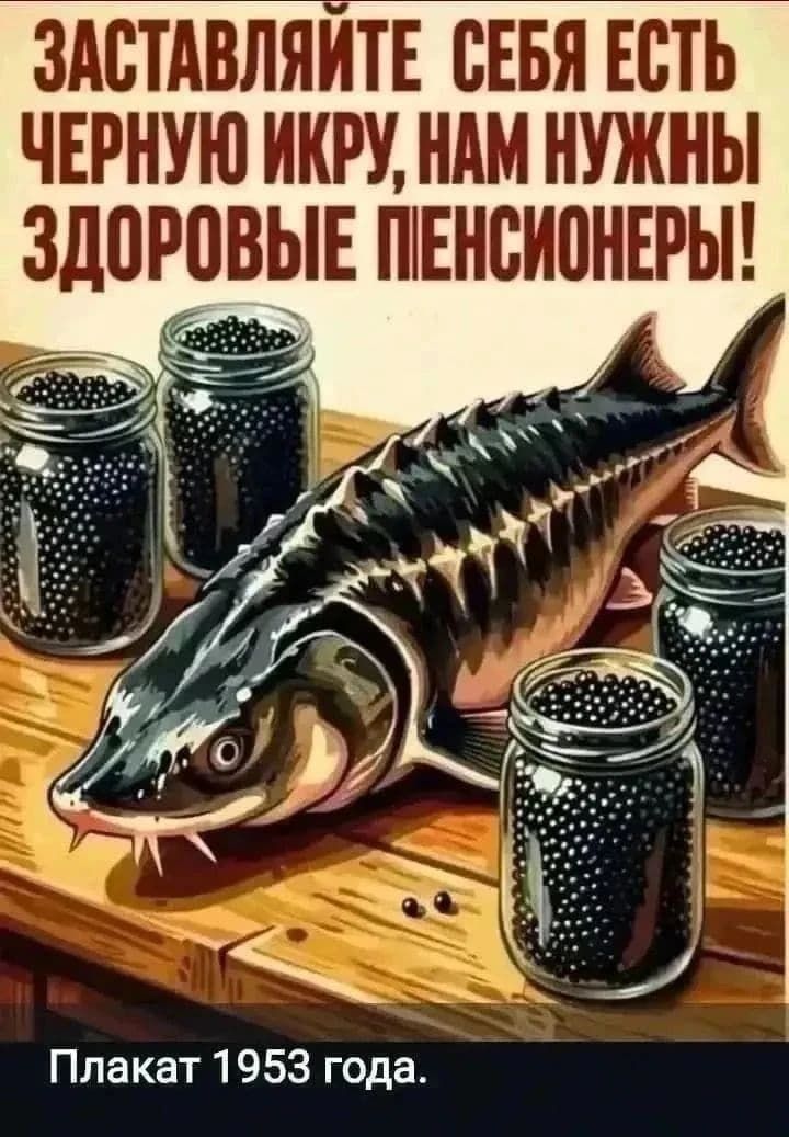 ЗАСТАВЛЯЙТЕ СЕБЯ ЕСТЬ ЧЕРНУЮ ИКРУ, НАМ НУЖНЫ ЗДОРОВЫЕ ПЕНСИОНЕРЫ! Плакат 1953 года.
