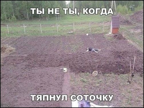 ТЫ НЕ ТЫ, КОГДА ТЯПНУЛ СОТОЧКУ