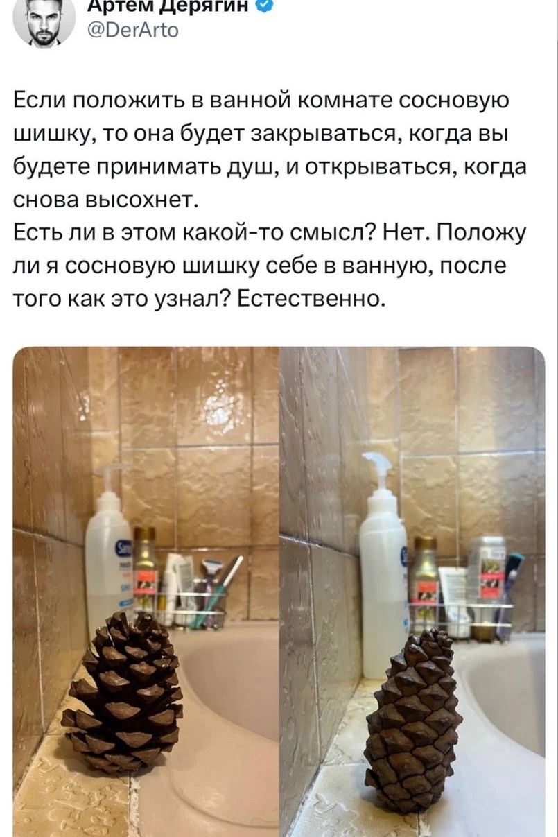 Артем Дерягин @DerArto Если положить в ванной комнате сосновую шишку, то она будет закрываться, когда вы будете принимать душ, и открываться, когда снова высохнет. Есть ли в этом какой-то смысл? Нет. Положу ли я сосновую шишку себе в ванную, после того как это узнал? Естественно.