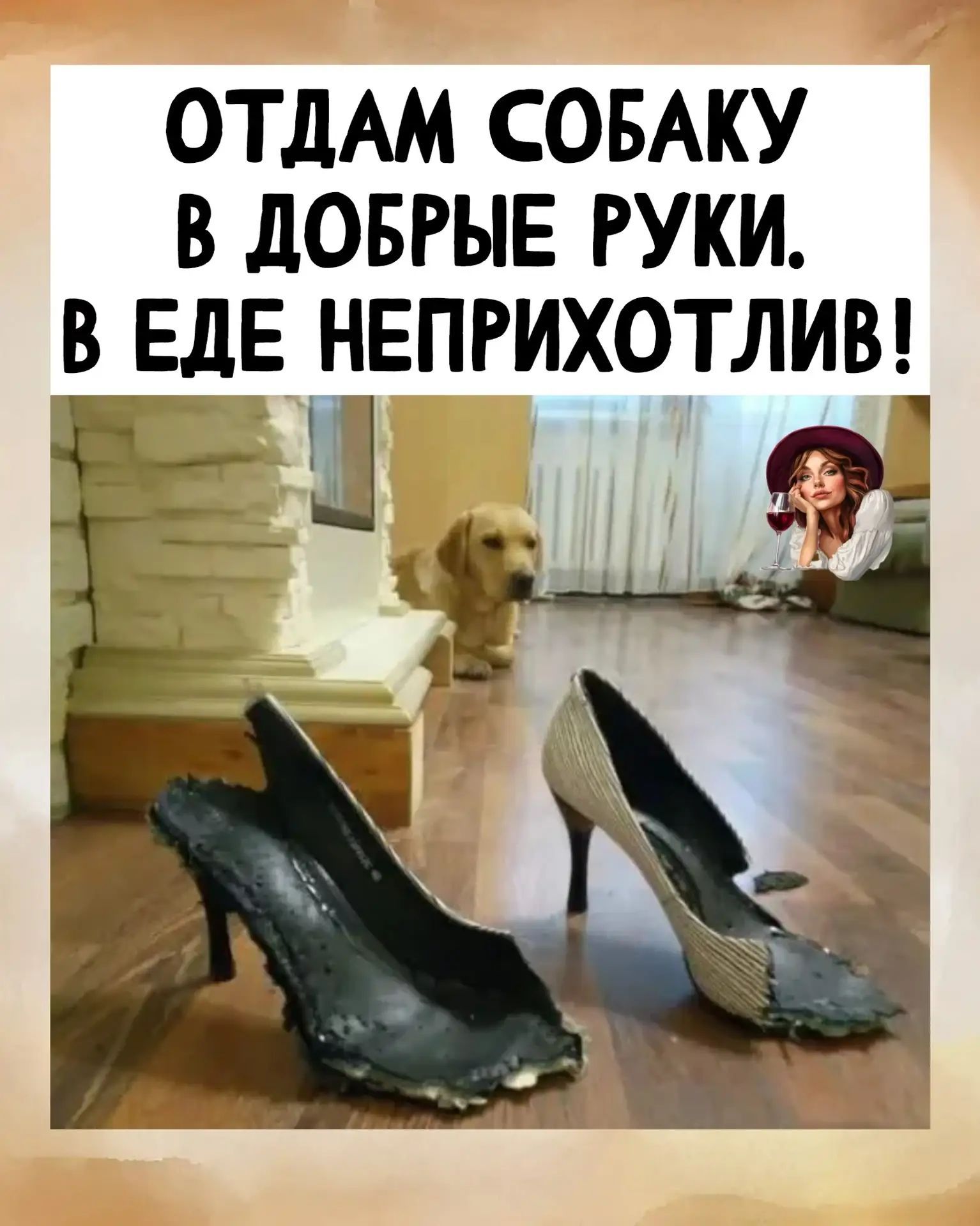 ОТДАМ СОБАКУ В ДОБРЫЕ РУКИ. В ЕДЕ НЕПРИХОТЛИВ!