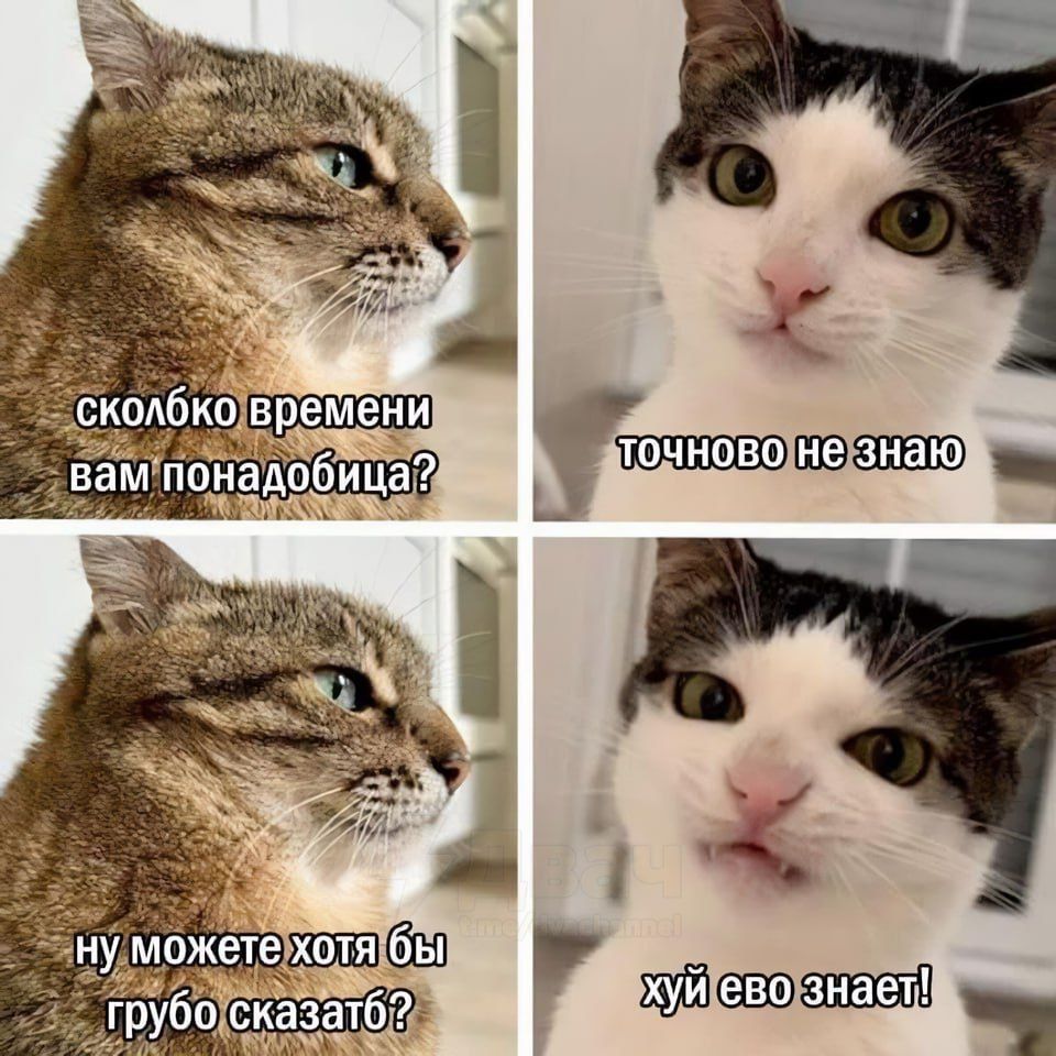 Сколко времени вам понадобица? Точново не знаю. Ну можете хотя бы грубо сказать? Хуй ево знает!