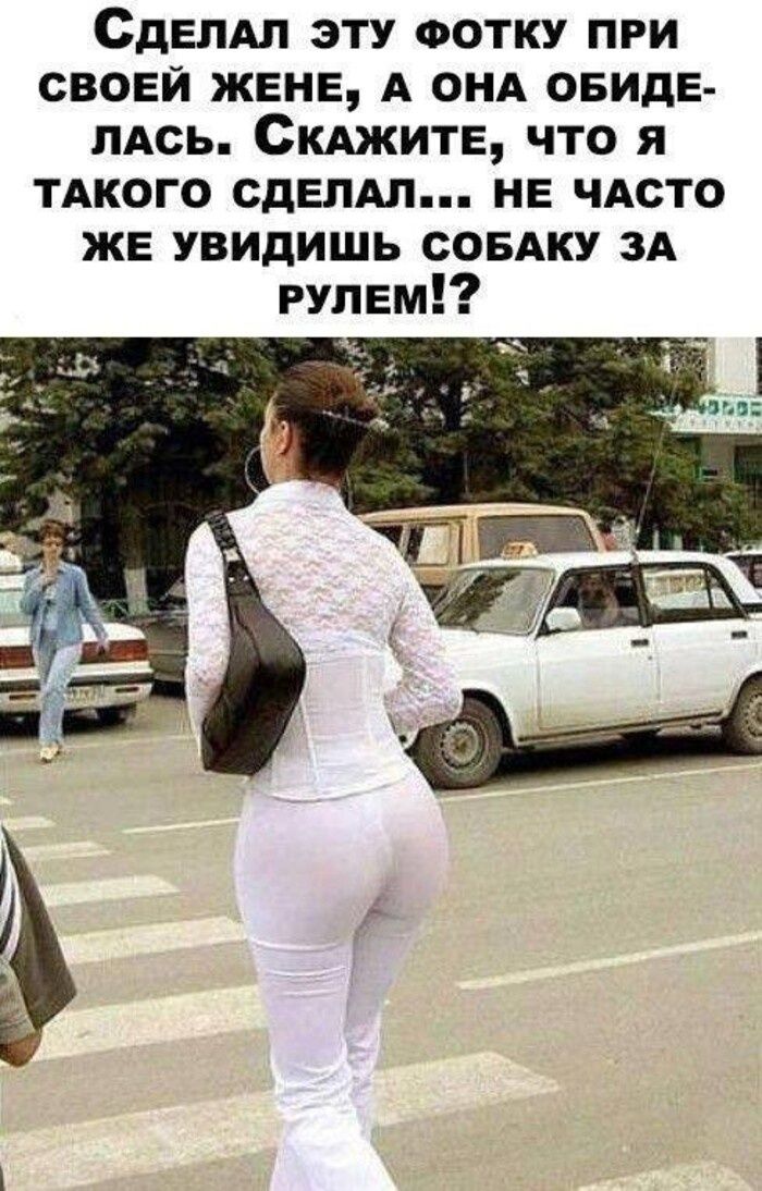 СДЕЛАЛ ЭТУ ФОТКУ ПРИ СВОЕЙ ЖЕНЕ, А ОНА ОБИДЕЛАСЬ. СКАЖИТЕ, ЧТО Я ТАКОГО СДЕЛАЛ... НЕ ЧАСТО ЖЕ УВИДИШЬ СОБАКУ ЗА РУЛЕМ!?