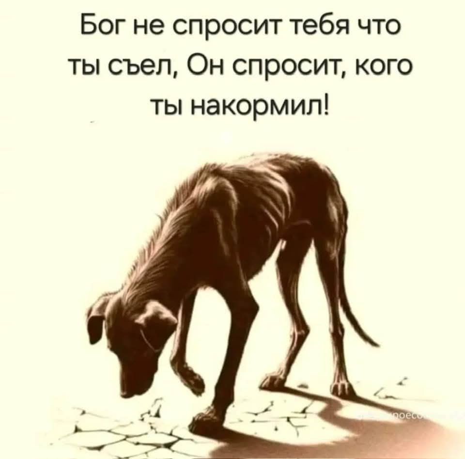 Бог не спросит тебя что ты съел, Он спросит, кого ты накормил!