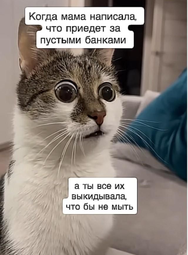 Когда мама написала, что приедет за пустыми банками, а ты все их выкидывала, что бы не мыть