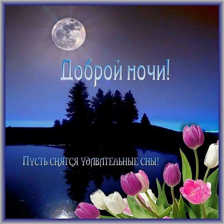 Доброй ночи! Пусть снятся удивительные сны!