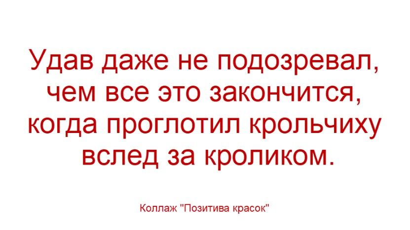 Удав даже не подозревал, чем все это закончится, когда проглотил крольчиху вслед за кроликом. Коллаж 