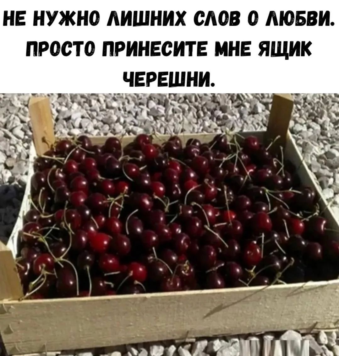 НЕ НУЖНО ЛИШНИХ СЛОВ О ЛЮБВИ. ПРОСТО ПРИНЕСИТЕ МНЕ ЯЩИК ЧЕРЕШНИ.