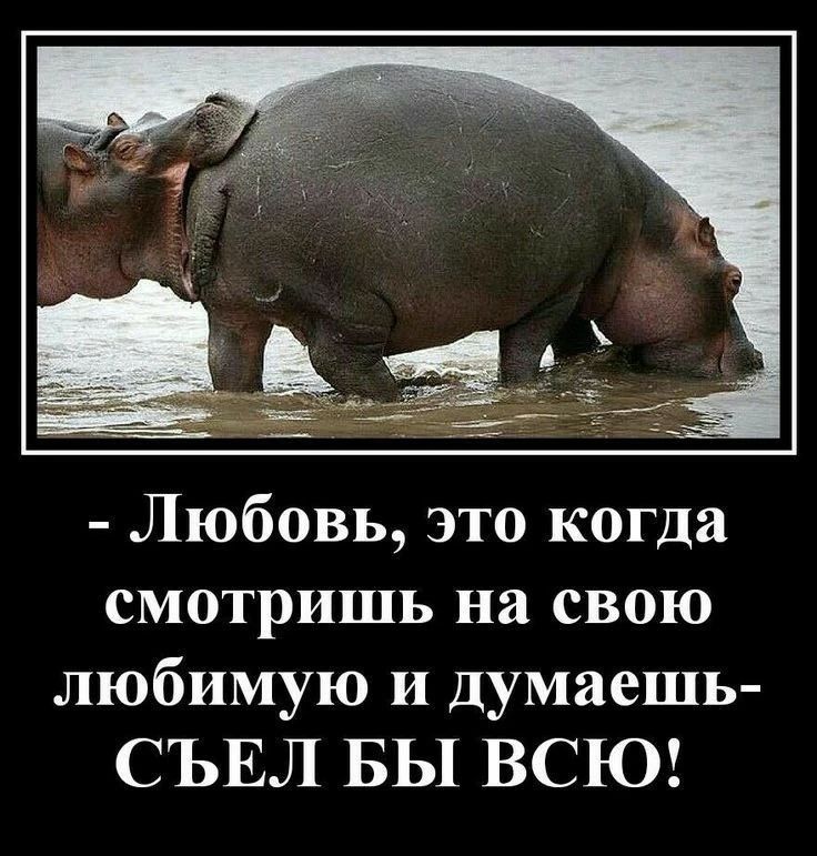 Любовь, это когда смотришь на свою любимую и думаешь- СЪЕЛ БЫ ВСЮ!