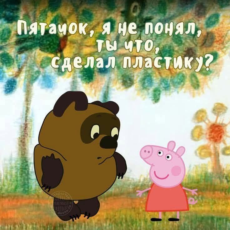 Пятачок, я не понял, ты что, сделал пластику?