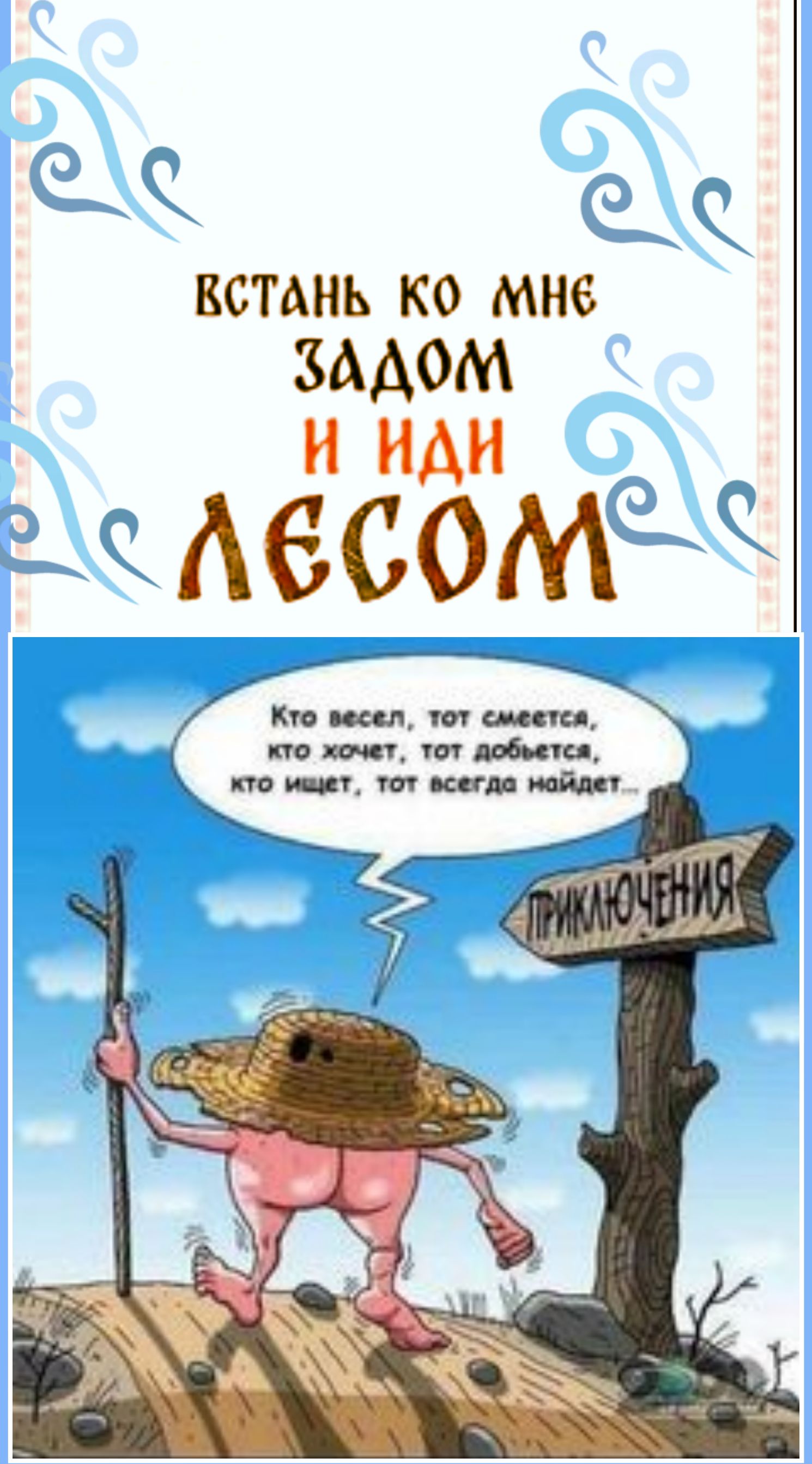 ВСТАНЬ КО МНЕ ЗАДОМ И ИДИ ЛЕСОМ. Кто весел, тот смеется, кто хочет, тот добьется, кто ищет, тот всегда найдет... ПРИКЛЮЧЕНИЯ