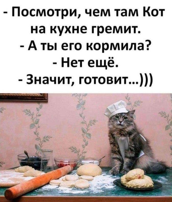 - Посмотри, чем там Кот на кухне гремит.
- А ты его кормила?
- Нет ещё.
- Значит, готовит...)))