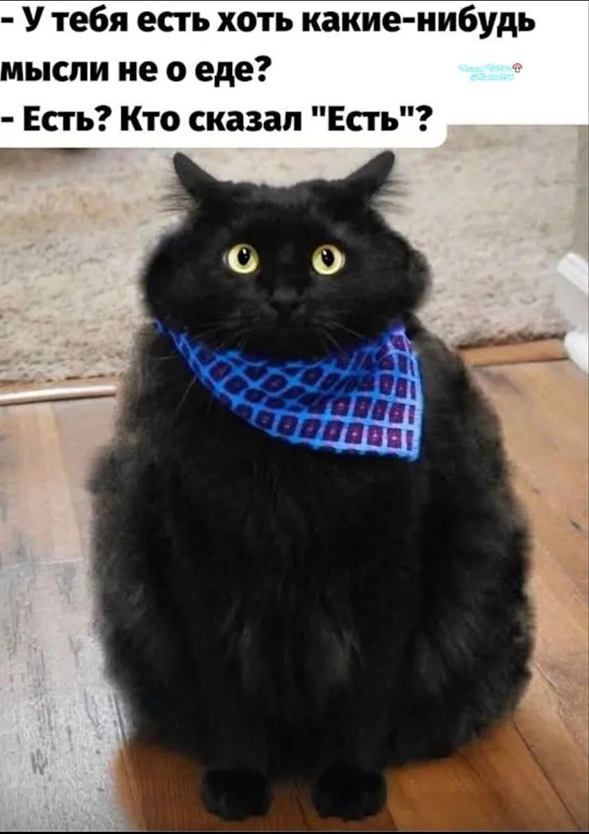- У тебя есть хоть какие-нибудь мысли не о еде?
- Есть? Кто сказал 