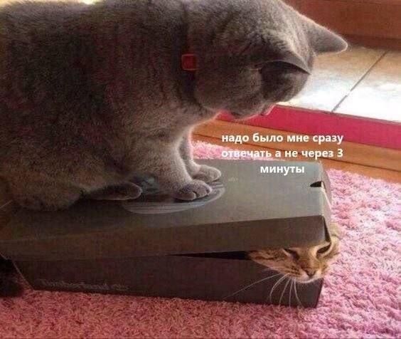 надо было мне сразу отвечать а не через 3 минуты