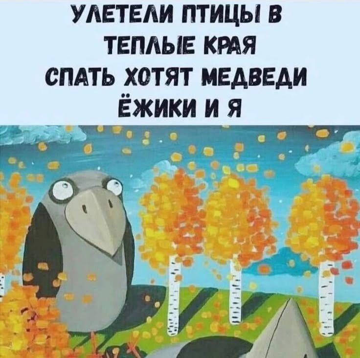 Улетели птицы в теплые края спать хотят медведи ёжики и я