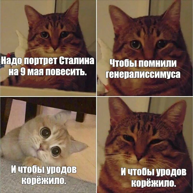 Надо портрет Сталина на 9 мая повесить. Чтобы помнили генералиссимуса. И чтобы уродов корёжило. И чтобы уродов корёжило.