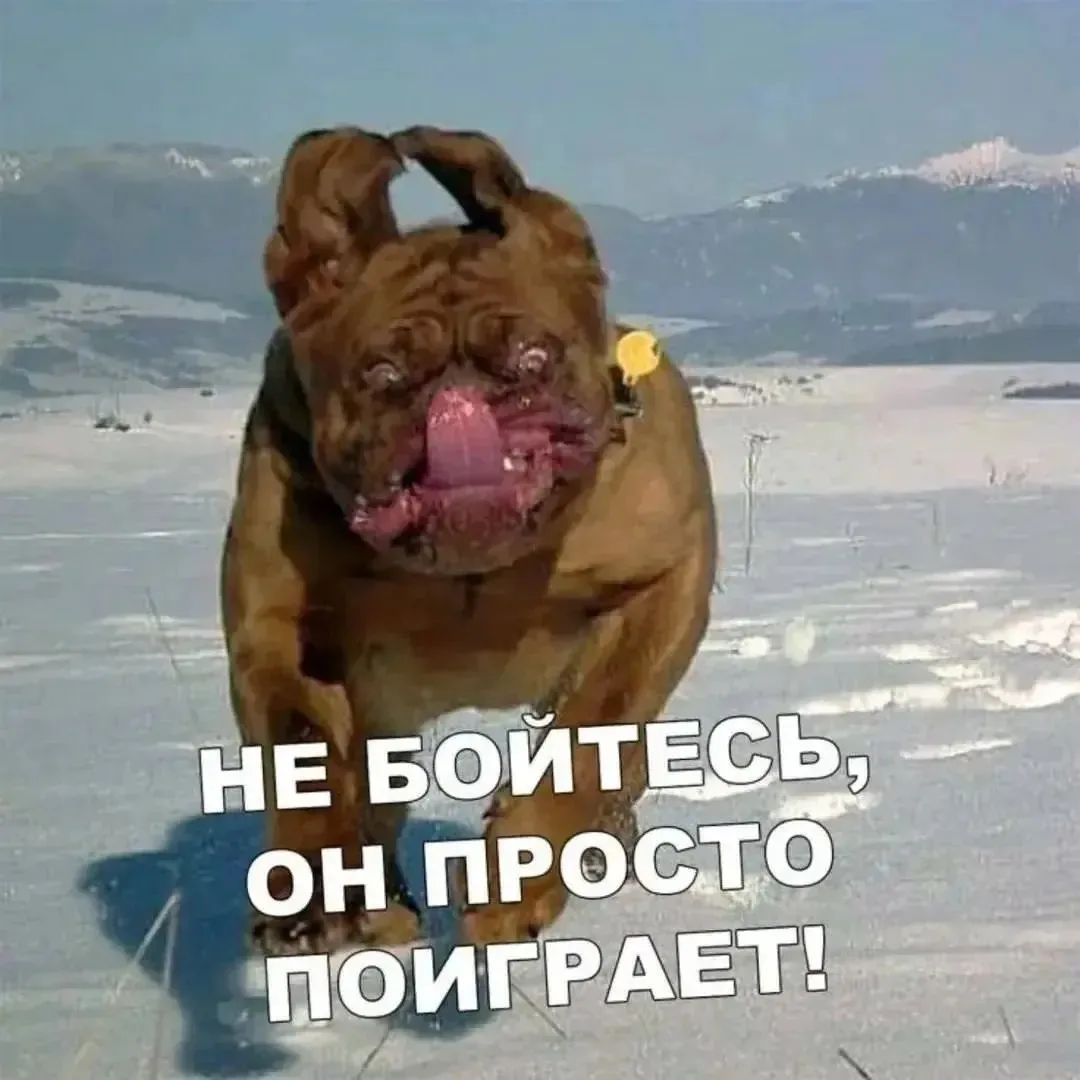 НЕ БОЙТЕСЬ, ОН ПРОСТО ПОИГРАЕТ!