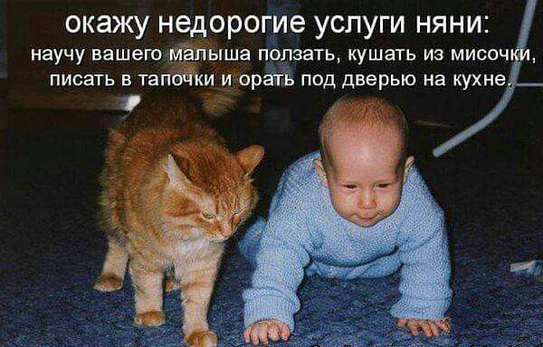 окажу недорогие услуги няни: научу вашего малыша ползать, кушать из мисочки, писать в тапочки и орать под дверью на кухне.