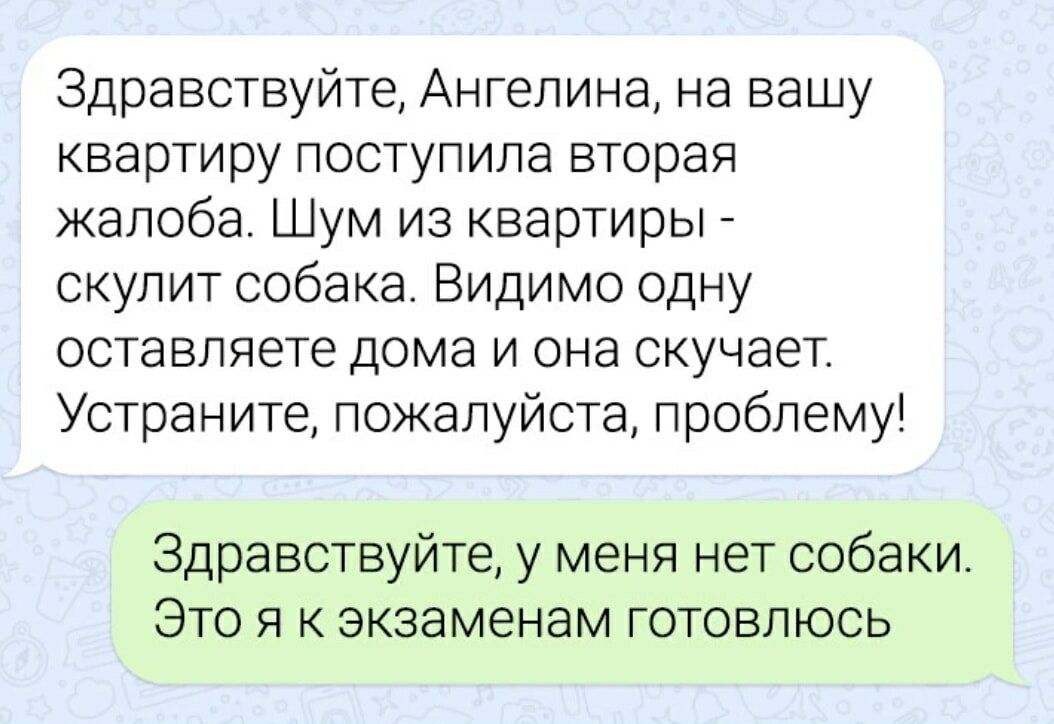 Здравствуйте, Ангелина, на вашу квартиру поступила вторая жалоба. Шум из квартиры - скулит собака. Видимо одну оставляете дома и она скучает. Устраните, пожалуйста, проблему! Здравствуйте, у меня нет собаки. Это я к экзаменам готовлюсь