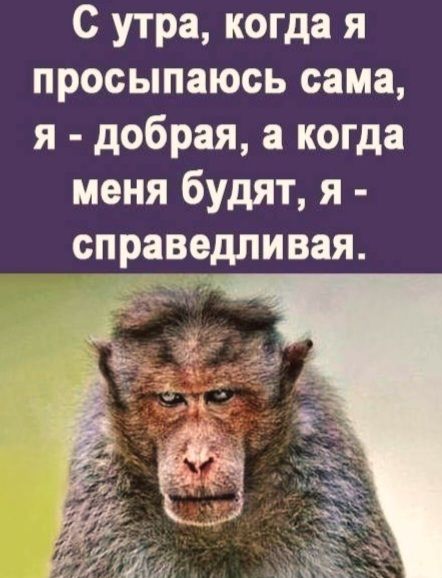 С утра, когда я просыпаюсь сама, я - добрая, а когда меня будят, я - справедливая.