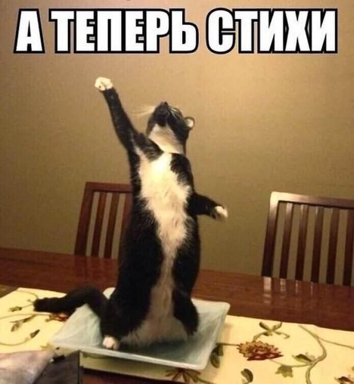 А ТЕПЕРЬ СТИХИ